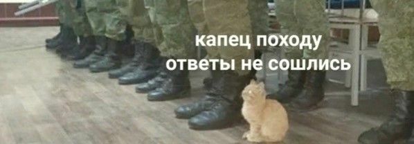 Картинка-подпись